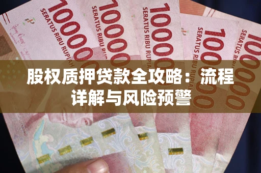 北京股权质押贷款全攻略：流程详解与风险预警