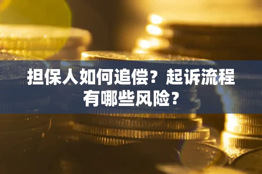 北京担保人如何追偿？起诉流程有哪些风险？