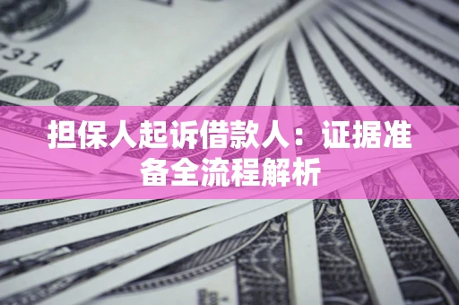 北京担保人起诉借款人：证据准备全流程解析